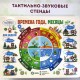  – вид 4