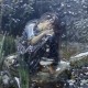  – вид 3