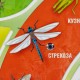  – вид 2