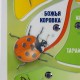  – вид 3