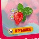  – вид 6