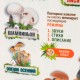  – вид 5