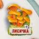  – вид 6